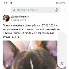 Подробнее об объявлении «Пропала собака кобель Пермь» Фото: пропала собака Французский бульдог «Пропала собака кобель Пермь» в г. Пермь