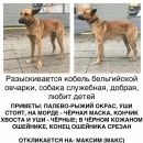 Подробнее об объявлении «Пропала собака кобель разыскивается кобель бельгийской овчарки Москва» Фото: пропала собака Бельгийская овчарка «Пропала собака кобель разыскивается кобель...» в г. Москва