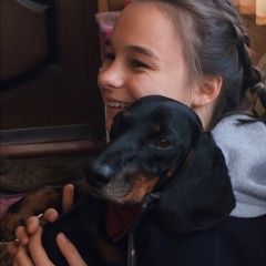 Подробнее об объявлении «Пропала собака кобель Зеленоград» Фото: пропала собака Такса «Пропала собака кобель Зеленоград» в г. Зеленоград