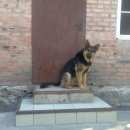 Подробнее об объявлении «Новошахтинск Пропала собака кобель» Фото: пропала собака Немецкая овчарка «Новошахтинск Пропала собака кобель» в г. Новошахтинск