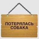 Подробнее об объявлении «Пропала собака Саратов» Фото: пропала собака Шар-пей «Пропала собака Саратов» в г. Саратов