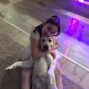 Подробнее об объявлении «Пропала собака Симферополь» Фото: пропала собака Лабрадор ретривер «Пропала собака Симферополь» в г. Симферополь