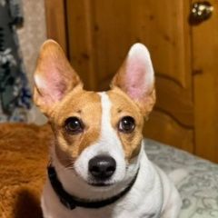 ����: ������� ������ ���� ������ ������ �������� ������ ������� � �. �������