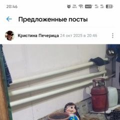 Подробнее об объявлении «Пропала собака кобель Касли» Фото: пропала собака Ягд-терьер «Пропала собака кобель Касли» в г. Касли