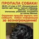 Подробнее об объявлении «Пропала собака сегодня, в александровке Ростов-на-Дону» Фото: пропала собака Лабрадор ретривер «Пропала собака сегодня, в александровке...» в г. Ростов-на-Дону