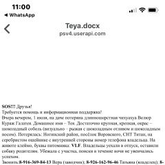 Подробнее об объявлении «Пропала собака помогите Москва» Фото: пропала собака Чихуахуа «Пропала собака помогите Москва» в г. Москва