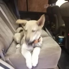 ����: None  ��������� ����� ������� ������ ����� ����� � �. �����