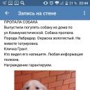 Подробнее об объявлении «Лабинск Пропала собака кобель золотистый ретривер» Фото: пропала собака Голден ретривер «Лабинск Пропала собака кобель золотистый ретривер» в г. Лабинск