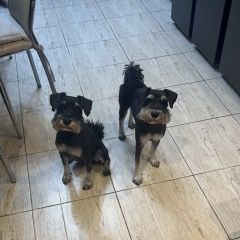 ����: ������� ������ ������������ �������� ������ ������ (��� ������-��������)...� � �. ����������