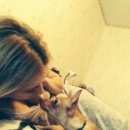 Подробнее об объявлении «Пропала собака кобель Симферополь» Фото: пропала собака Русский той-терьер «Пропала собака кобель Симферополь» в г. Симферополь