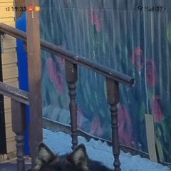 ����: ������� ������ �������� ������� �������� ������� ������ ������ �������� �������...� � �. �������