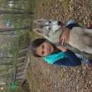 Подробнее об объявлении «Хабаровск Пропала собака» Фото: пропала собака Сибирская хаски «Хабаровск Пропала собака» в г. Хабаровск