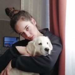 Подробнее об объявлении «Пропала собака кобель Смоленск» Фото: пропала собака  «Пропала собака кобель Смоленск» в г. Смоленск