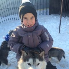 Подробнее об объявлении «Тюмень Пропала собака кобель» Фото: пропала собака Сибирская хаски «Тюмень Пропала собака кобель» в г. Тюмень