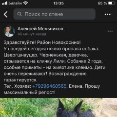 Подробнее об объявлении «Москва Пропала собака» Фото: пропала собака Цвергшнауцер «Москва Пропала собака» в г. Москва