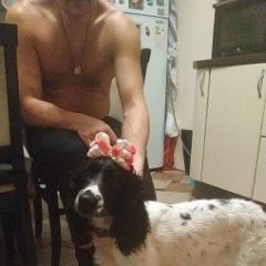 Подробнее об объявлении «Анапа Пропала собака русский спаниель девочка» Фото: пропала собака Русский охотничий спаниель «Анапа Пропала собака русский спаниель девочка» в г. Анапа