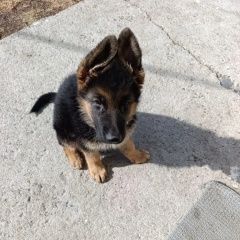 ����: ������� ������ �������� ������� �������� ������ ������ ����� �������� ������� �...� � �. �����-�������