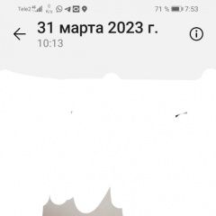Подробнее об объявлении «Петрозаводск Пропала собака кобель белый бим» Фото: пропала собака  «Петрозаводск Пропала собака кобель белый бим» в г. Петрозаводск
