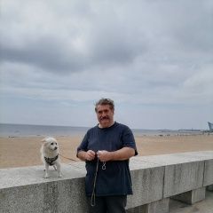 Подробнее об объявлении «Пропала собака кобель на улице юбилейной в нижнем новгороде Нижний Новгород» Фото: пропала собака  «Пропала собака кобель на улице юбилейной в...» в г. Нижний Новгород