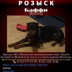 ����: ������� ������ ����������� (���������� ������) �������� ������� ������ �����������, ������� � �. �������