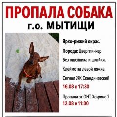 ����: ������� ������ ����������� (���������� ������) ������� ������� ������ �������� ����� � �. ������