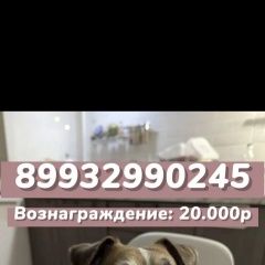 ����: ������� ������ ���� ������ ������ �������� ������� ������ ������ ���� ������ ���� � �. �������