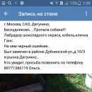 Подробнее об объявлении «Пропала собака кобель Москва» Фото: пропала собака Лабрадор ретривер «Пропала собака кобель Москва» в г. Москва