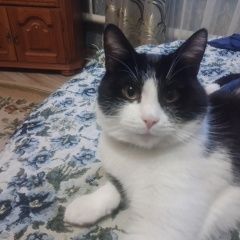 ����: ������� ������ ��������  ������� ������� �������� �������� ��� � �. ������