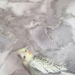 ����: ������� ������ ��������  ������� ������� �������� ����� ����������� � �. �����������