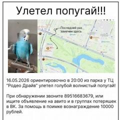 ����: ������� ������ ��������  ������� ������� ��������� ������� �����-��������� � �. �����-���������