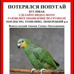 ����: ������� ������ ��������  ������� ������� �������� � �. ��������