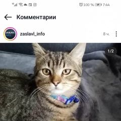 ����: ������� ������ ��������  ��������� ������� �������� �������� ��� � �. ��������