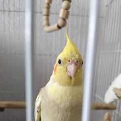 ����: ������� ������ ��������  ������� ������ ������� ����� ������� ������� � �. ������